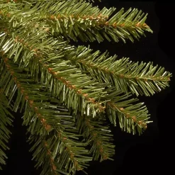 Christmas Trees><noscript><img width=