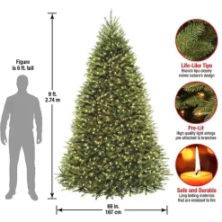 Christmas Trees><noscript><img width=