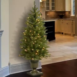 Christmas Trees>Kirklands Home 4 ft. Pre-Lit Dunhill Fir Potted Christmas Tree