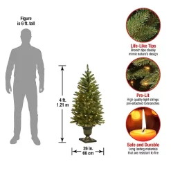 Christmas Trees><noscript><img width=