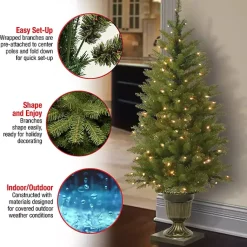 Christmas Trees><noscript><img width=