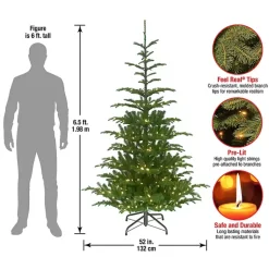 Christmas Trees><noscript><img width=