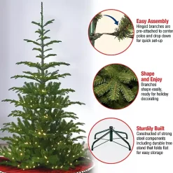 Christmas Trees><noscript><img width=