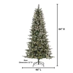 Christmas Trees><noscript><img width=