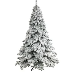 Christmas Trees><noscript><img width=