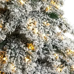 Christmas Trees><noscript><img width=