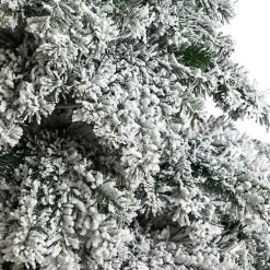 Christmas Trees><noscript><img width=