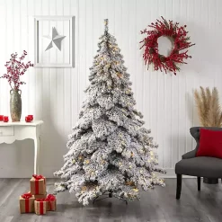 Christmas Trees><noscript><img width=
