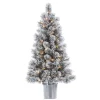 Christmas Trees>Kirklands Home 4.5 ft. Pre-Lit Flocked Potted Pine Christmas Tree