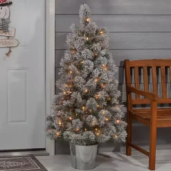 Christmas Trees><noscript><img width=