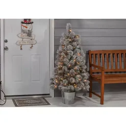 Christmas Trees><noscript><img width=