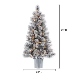 Christmas Trees><noscript><img width=