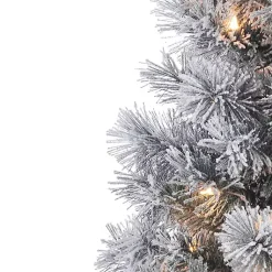 Christmas Trees><noscript><img width=