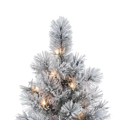 Christmas Trees><noscript><img width=