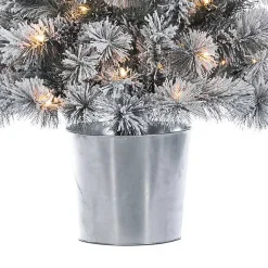 Christmas Trees><noscript><img width=