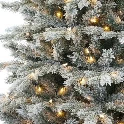 Christmas Trees><noscript><img width=