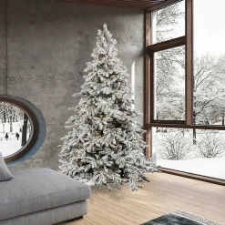 Christmas Trees><noscript><img width=