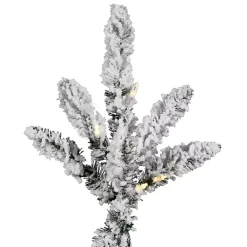 Christmas Trees><noscript><img width=