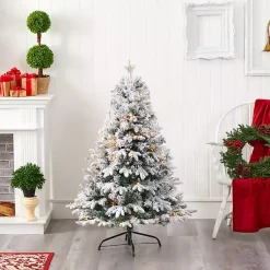 Christmas Trees><noscript><img width=