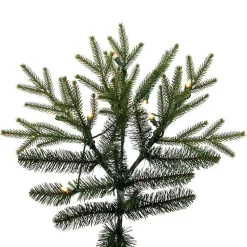 Christmas Trees><noscript><img width=