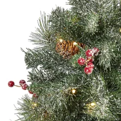 Christmas Trees><noscript><img width=