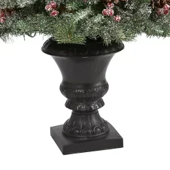 Christmas Trees><noscript><img width=