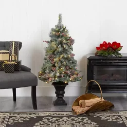 Christmas Trees><noscript><img width=