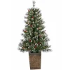 Christmas Trees>Kirklands Home 4 ft. Pre-Lit Glacier Pine Potted Christmas Tree