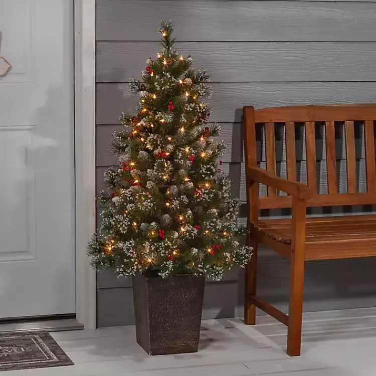 Christmas Trees>Kirklands Home 4 ft. Pre-Lit Glacier Pine Potted Christmas Tree