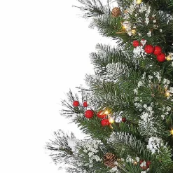 Christmas Trees><noscript><img width=