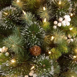 Christmas Trees><noscript><img width=