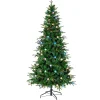 Christmas Trees>Kirklands Home 6 ft. Pre-Lit Globe Light Duxbury Christmas Tree