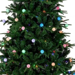 Christmas Trees><noscript><img width=