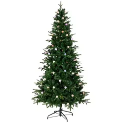Christmas Trees><noscript><img width=