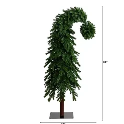 Christmas Trees>Kirklands Home 7 ft. Pre-Lit Green Santa Hat Christmas Tree