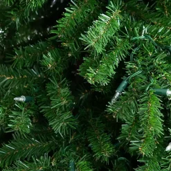 Christmas Trees><noscript><img width=