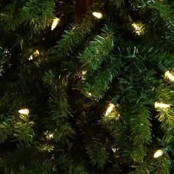 Christmas Trees><noscript><img width=