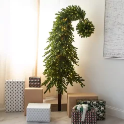 Christmas Trees><noscript><img width=