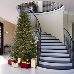 Christmas Trees>Kirklands Home 5.5 ft. Pre-Lit Itasca Fraser Christmas Tree