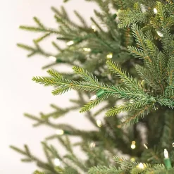 Christmas Trees><noscript><img width=