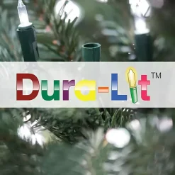 Christmas Trees><noscript><img width=