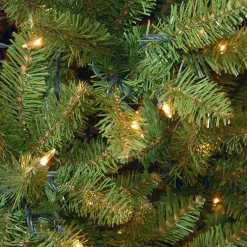 Christmas Trees><noscript><img width=