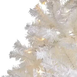 Christmas Trees><noscript><img width=