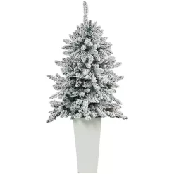 Christmas Trees><noscript><img width=