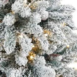 Christmas Trees><noscript><img width=