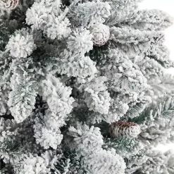 Christmas Trees><noscript><img width=
