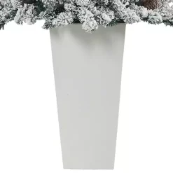 Christmas Trees><noscript><img width=