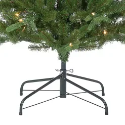 Christmas Trees><noscript><img width=