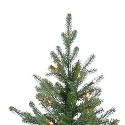 Christmas Trees><noscript><img width=
