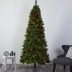 Christmas Trees><noscript><img width=
